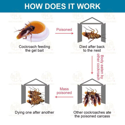 Cockroach Control Gel Bait – Home Pest Solution
